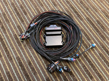 Holley Can IO Box Pre-terminated PNP Harness